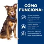 Hills Prescription Diet Dog Metabolic - Imagen 6
