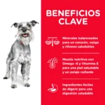 Hills Science Diet Dog Adult 7+ Small & Mini - Imagen 3