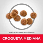 Hills Science Diet Puppy Original Bites - Imagen 4