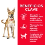 Hills Science Diet Dog Adult Original Bites - Imagen 3