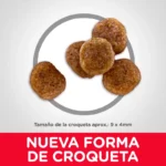 Hills Science Diet Dog Adult 7+ Small Bites - Imagen 4